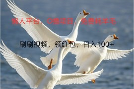 O撸懒人平台，全新手机广告不推广单机100 ，刷刷就有捡钱一样， 简单无脑稳定