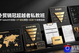 外贸销冠超越者私教班：TOP Sales9大技能 3个进化模型 B2B7大销售链路，系统进阶