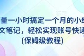 AI 批量一小时搞定一个月的小红书爆款图文笔记，轻松实现账号快速涨粉(保姆级教程)