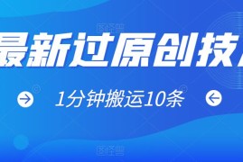 最新过原创技术，1分钟搬运10条爆款视频，多平台批量发布日入1000 ，可过视频号