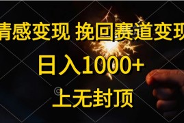 （10571期）情感变现，挽回赛道变现，日入1000 ，上无封顶