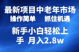 （10147期） 2024最新项目，中老年市场，起号简单，7条作品涨粉4000 ，单月变现2.8w