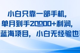 小白只靠一部手机，单月到手2W 利润，玄学蓝海项目，小白无经验也可做