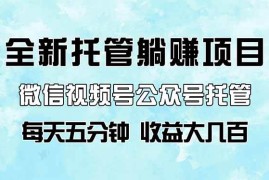 （14425期）全新托管躺赚项目，微信视频号公众号托管代运营，每天五分钟，收益大几百