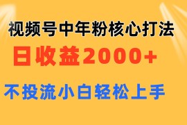 （11205期）视频号中年粉核心玩法 日收益2000  不投流小白轻松上手