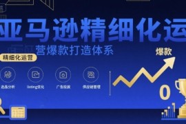 亚马逊精细化运营爆款打造体系，视频课 全套资料文档