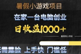 暑假小游戏项目，在家一台电脑创业，日收益1k ，无需露脸，上手快门槛低【揭秘】