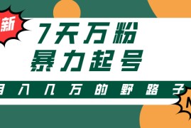 （13047期）3-7天万粉，快手暴力起号，多种变现方式，新手小白秒上手，单月变现几…