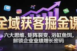 全域获客掘金课：六大思维、矩阵裂变、浴缸鱼饵，解锁企业业绩增长密码