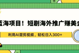 蓝海项目！短剧海外推广赚美金，利用AI混剪视频，轻松日入300 