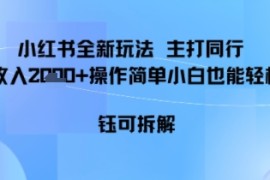 小红书同行项目，单日收益多张小白可轻松上手