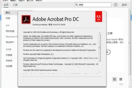 Acrobat Pro DC 2026.002.21869绿色版