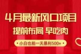 （10137期）28.4月最新风口项目，提前布局早吃肉，小白也能一天暴利500 