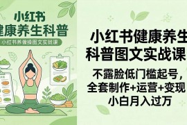 （18033期）2026小红书健康养生科普图文实战课：不露脸低门槛起号，全套制作 运营 变现，小白月入过万