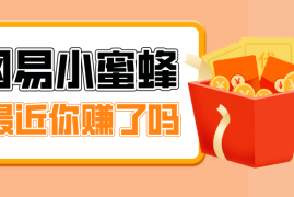 首发！网易小蜜蜂拉新，19元/单，网易大厂背书，零成本零门槛，月入轻松破万