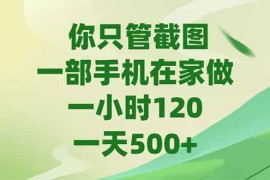 （15039期）你只管截图，一部手机在家做，一小时120，-天500 