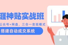 天涯神贴实战班：抖音 公众号 网盘，三合一变现模式，搭建自动成交系统