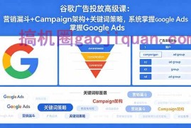 谷歌广告投放高级课：营销漏斗 Campaign架构 关键词策略，系统掌握Google Ads