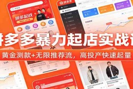 拼多多暴力起店实战课：黄金测款 无限推荐流，高投产快速起量