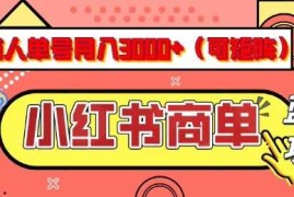 小红书商单分成计划，有人单号月入3k ，每天5分钟，可矩阵放大，长期稳定的蓝海项目【揭秘】