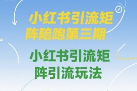 小红书引流矩阵陪跑第三期，小红书引流矩阵引流玩法