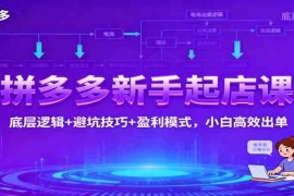 拼多多新手起店课：底层逻辑 避坑技巧 盈利模式，小白高效出单