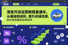 淘宝开店运营教程直通车，从基础到进阶，提升店铺流量，转化率和整体运营效率(更新26年3月24日)