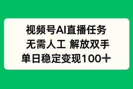 （16006期）视频号AI直播任务，无需人工，解放双手，当天变现100 