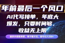 （16670期）年前最后一个风口项目，轻松日入500 ，小白轻松上手