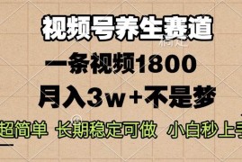 （13564期）视频号养生赛道，一条视频1800，超简单，长期稳定可做，月入3w 不是梦