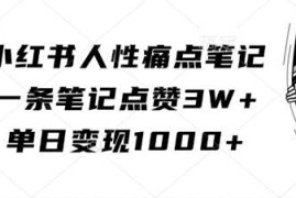 小红书人性痛点笔记，一条笔记点赞3W ，单日变现1k