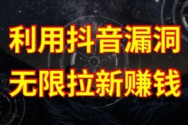 利用抖音链接漏洞，无限拉新赚钱【漏洞原理 操作流程】【揭秘】