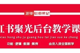 小红书聚光后台教学，小红书聚光投放的基本原理、策略和实践操作