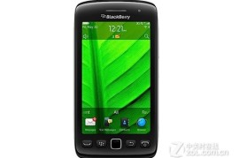 黑莓价格(黑莓价格多少钱一斤2024)