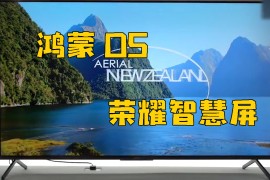 华为荣耀智慧屏(华为荣耀智慧屏投屏)