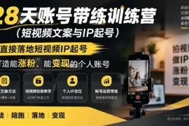 28天账号带练训练营(短视频文案与IP起号)，直接落地短视频IP起号，打造能涨粉、能变现的个人账号