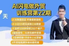 AI闪电做外贸训练营第22期：Al快速选品 小白1小时完成独立站搭建 10分钟获取200个客户等