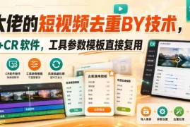 某大佬的短视频去重搬运技术，手法 CR软件，工具参数模板直接复用