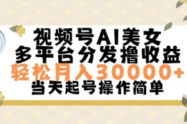 （11684期）视频号AI美女，轻松月入30000 ,操作简单轻松上手