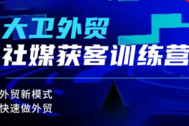 大卫老师·外贸社媒获客独家训练营(更新)
