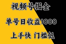 （14183期）视频号掘金，单号日收益1000 ，门槛低，容易上手。