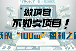 （10930期）为什么做项目不如卖项目？我的100W 盈利之路