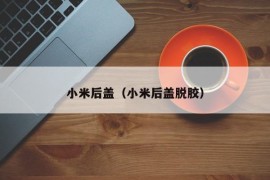 小米后盖（小米后盖脱胶）