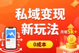 私域变现新玩法，0成本，多端引流，普通人月增收5k 