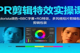 PR剪辑特效实操课：Colorista调色 BBC字幕 RG特效，多风格短片剪辑包装
