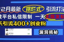 12月最新“摆烂式”引流打法，突破平台私信限制，一天无限发私信，单天引流400 创业粉