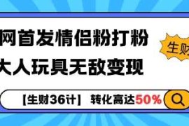 【生财36计】全网首发情侣粉打粉 大人玩具无敌变现