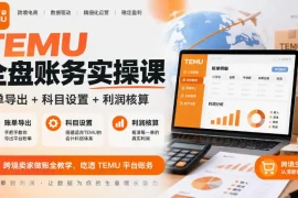 TEMU全盘账务实操课｜账单导出 科目设置 利润核算，跨境卖家做账全教学，吃透TEMU平台账务