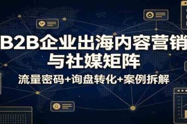 B2B企业出海内容营销与社媒矩阵：流量密码 询盘转化 案例拆解