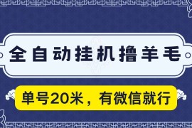 全自动挂机撸羊毛，单号20米，有微信就行，可矩阵批量放大